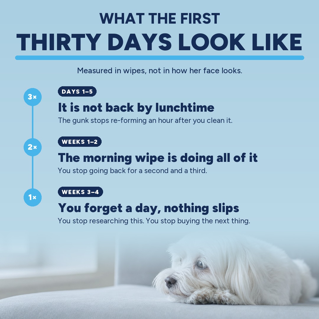 What the first thirty days look like: three wipes a day become two, then one, then a day you forget entirely